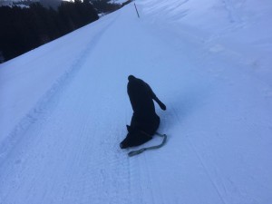 Skilager 2019 Donnerstag-0081